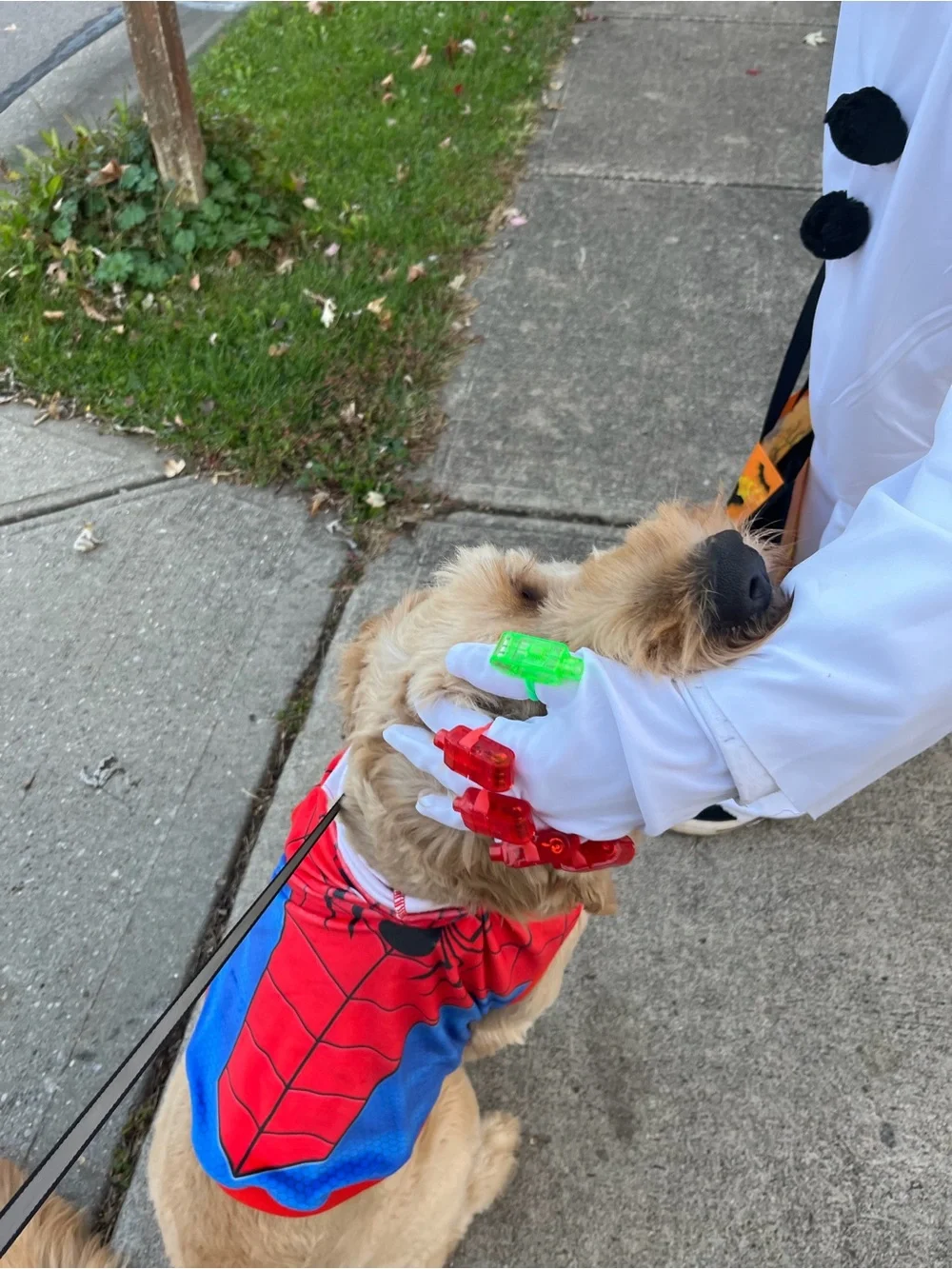 Dog Spider-Man Costume Hoodie